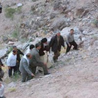 متفرقات
